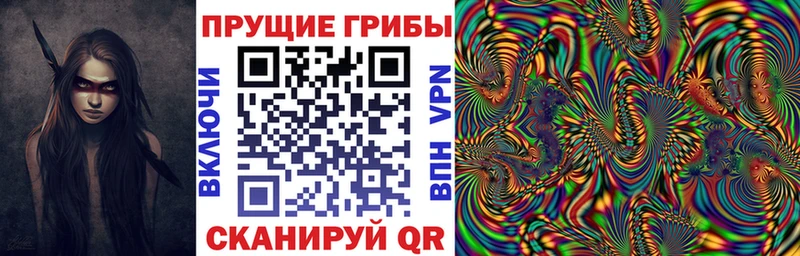 Галлюциногенные грибы Psilocybine cubensis  Купить  Луга 